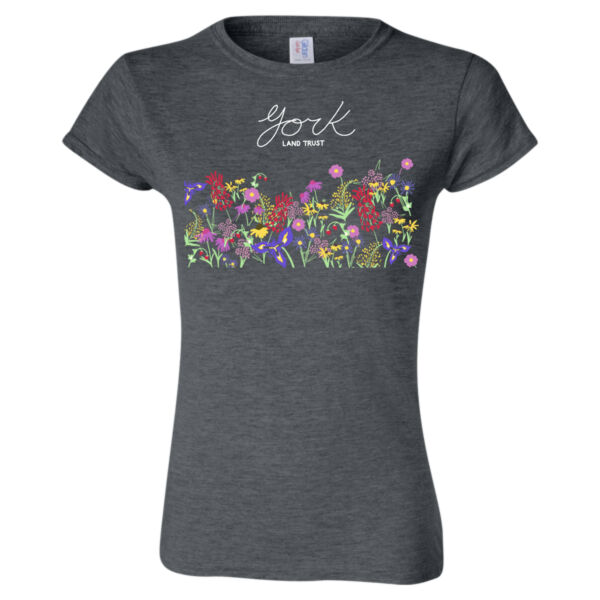 Softstyle® Women's Midweight T-Shirt Thumbnail