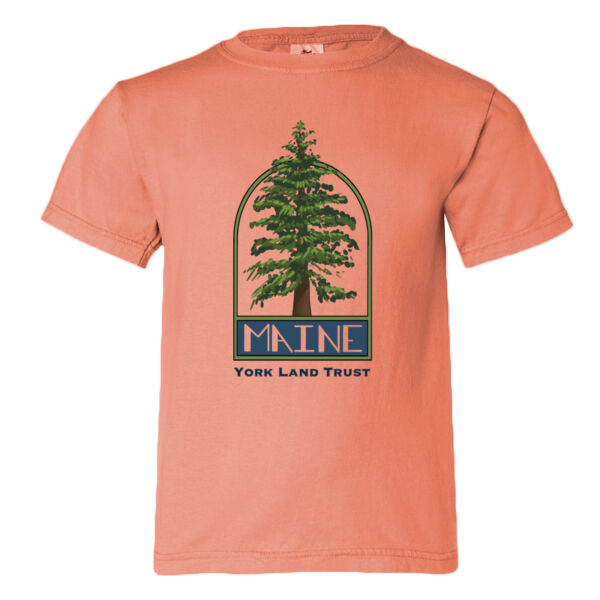 Comfort Colors Youth Midweight T-Shirt 2 Thumbnail